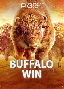 เล่น สล็อต xo บน เว็บ: สุดยอดประสบการณ์เดิมพัน